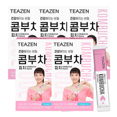 티젠콤부차피치