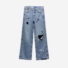 자라아더에러비니