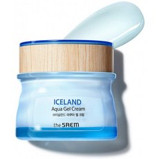 [더샘] 아이슬란드 아쿠아 젤 크림 60ml-지성 복합성 피부를위한 아이슬란드 미네랄 워터 함유 모이스처, 1