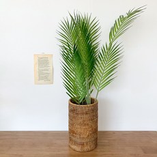 83c385fb488008b3e007776c46b6e735f5466abe0d0bcf7c3e74b8378bf5.jpg