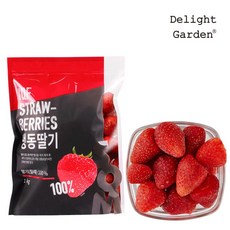 [딜라잇가든]냉동 딸기(칠레산)1kg x 5, 5개