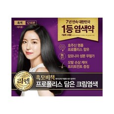 리엔 흑모비책 프로폴리스 염색약 흑갈색 12회분, 1개