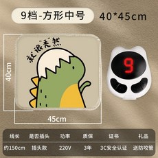 애완묘전기장판