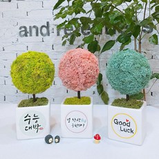 272e7c5df648a2d7915432d159ee10683987a57d1c1566ccd26d4881dae6.jpg