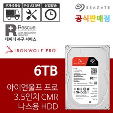 씨게이트 아이언울프 프로 6TB ST6000NT001 NAS 하드디스크 - 아이언울프프로