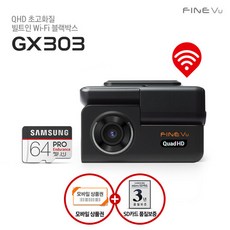 파인뷰gx303