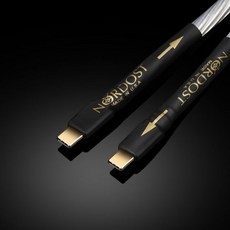 Nordost-Odin HIFI USB 케이블 A-B 순수 실버 Dac 오디오 케이블 PC 휴대 전화 C-B Otg, 04 Upgraded c-C_04 1m, 1개
