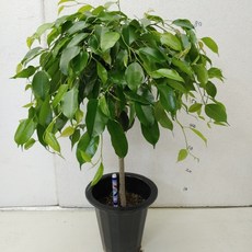 9168d3d9ca560820120d4fa5e16b72d21be28034d0e68ef7c1c209a10aa4.jpg