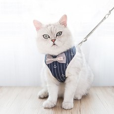 Huvafen 나시형 고양이 강아지 산책줄