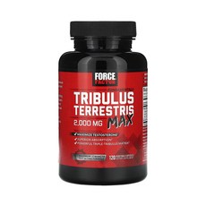 포스팩터 펀더멘탈 트리블러스 테러스트리스 맥스 2 000mg 베지 캡슐 120 정(캡슐 1정당 500mg), 1개, 120캡슐, 120캡슐