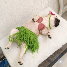 강아지 비키니 옷 엽기 코스튬 소형 중형 애완견 반려동물 비숑 푸들 불독 치마 스커트 의류, 그린 비키니