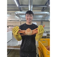 [선주직판] 선주가 직접잡은 프리미엄 박달홍게 수율90% 내외 선주직송 3kg (9-11마리) 자숙 라면서비스, 1박스