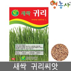 새싹 귀리 씨앗 50g, 1개