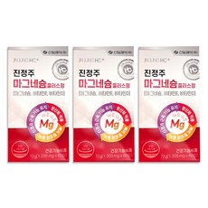 진정주 마그네슘 플러스정 3박스(1200mg x 60정)