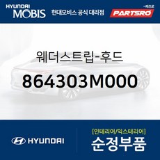 제네시스bh웨더스트립