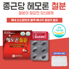 베라라이프임산부