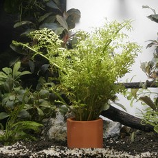 14d310cf7d5add5d5e5f396cc95712d7596871af7b3407e88ec23c2dd313.jpg