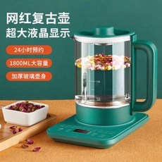 약탕기 중탕기 주전자 티포트 약초 약재 한약 전자동 다기능 보온 대용량 가정용 사무실 소, 01 노르딕 그린 표준판