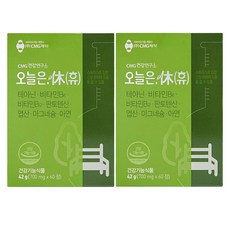 오늘은휴700mg x 60정x 2박스, 2개, 60개