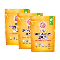 한입 과탄산소다 담은 표백제, 2kg, 3개