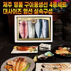 제주애명작은갈치