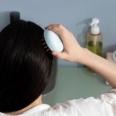 라보에이치샴푸브러쉬