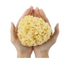 라그랑해면