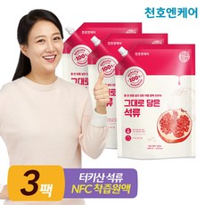 옥반석류즙