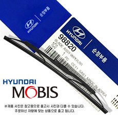 레이순정avn