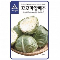 (양배추씨앗종자) 꼬꼬마 양배추(100립)