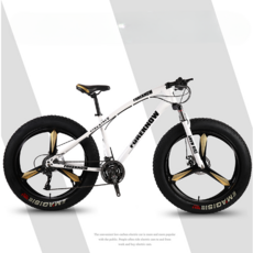 팻자전거 광폭타이어 큰바퀴자전거 산악용 자전거 MTB 산악 산악자전거, R 화이트 3휠