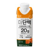 더단백카라멜