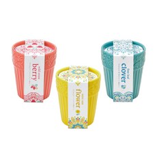 네잎클로버키우기