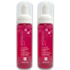 [안달로우] [단품]NEW 천송이 젠틀 클렌징폼 163ml 2개
