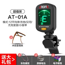 가야금조율