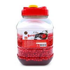  2023 문경 햇 오미자 자일로스 설탕 당절임 10kg(줄기포함), 1개 