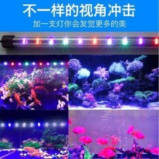 9cbe328ee274b4e5c5e4540e51cc541570721b056ced6a5c9633be88aa69.jpeg