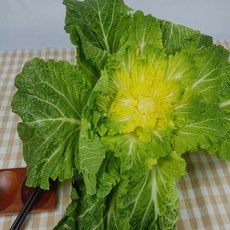 4d221185a0c360aaeb76d5d69ffc10da19e9235d8fb8d0ea44b143e0312f.jpg