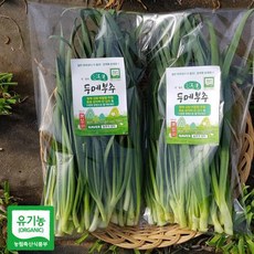 농부의장터 두메부추 200g, 1개