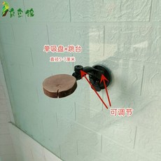 앵무새 실내 스탠드 새줄 악세서리 용품 나뭇가지 새 벽 유리창 놀이 나무 부착, C, 1개
