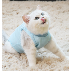 수컷환견복