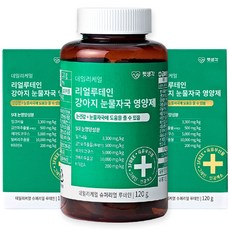 비숑눈물자국