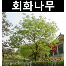 8d1b49cc3949b97a3a6e43cd60a726abad1514ba129f28d369bf1d59abcc.jpg