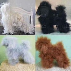 애견 미용학원 연습용 강아지 모형 털 골격 트레이닝, 1개
