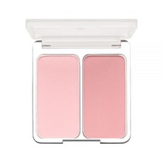 투에이엔듀얼치크