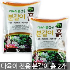 다육이 전용 분갈이흙 1.5kg x 2개 - 다육이흙 다육 다육이 화분갈이 상토 계분 분갈이흙, 한성_다육식물분갈이흙(1.5kg)(2개)
