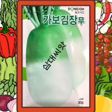 가을무신품종 가보김장무 30G, 1개, 1개입