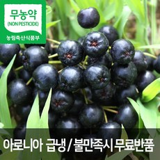 산들해 무농약 아로니아급냉, 5kg, 무농약 아로니아