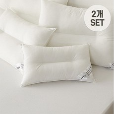 세사 AK분당점 THE세사 뉴컴퍼터블 경추베개솜 30X50 2개세트, 화이트