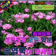 bafa269590e5abe3f367a7f245f24f3810a596f27b9293ef97d2ad24d638.jpg